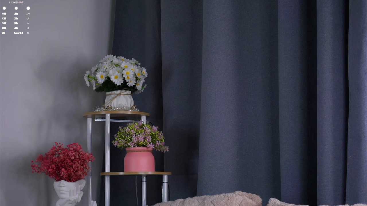 LowOncoming cam recording