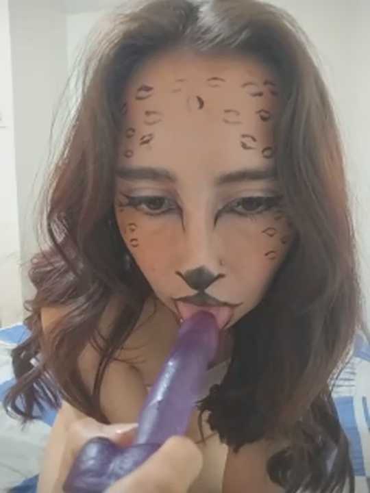 Lunnylux cam recording