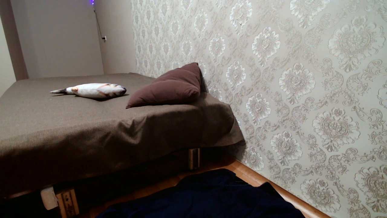 MarinaSteinkuehler cam recording