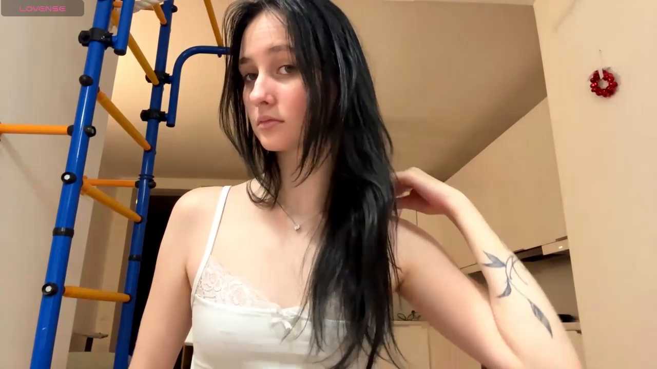 MarylandMendrin cam recording