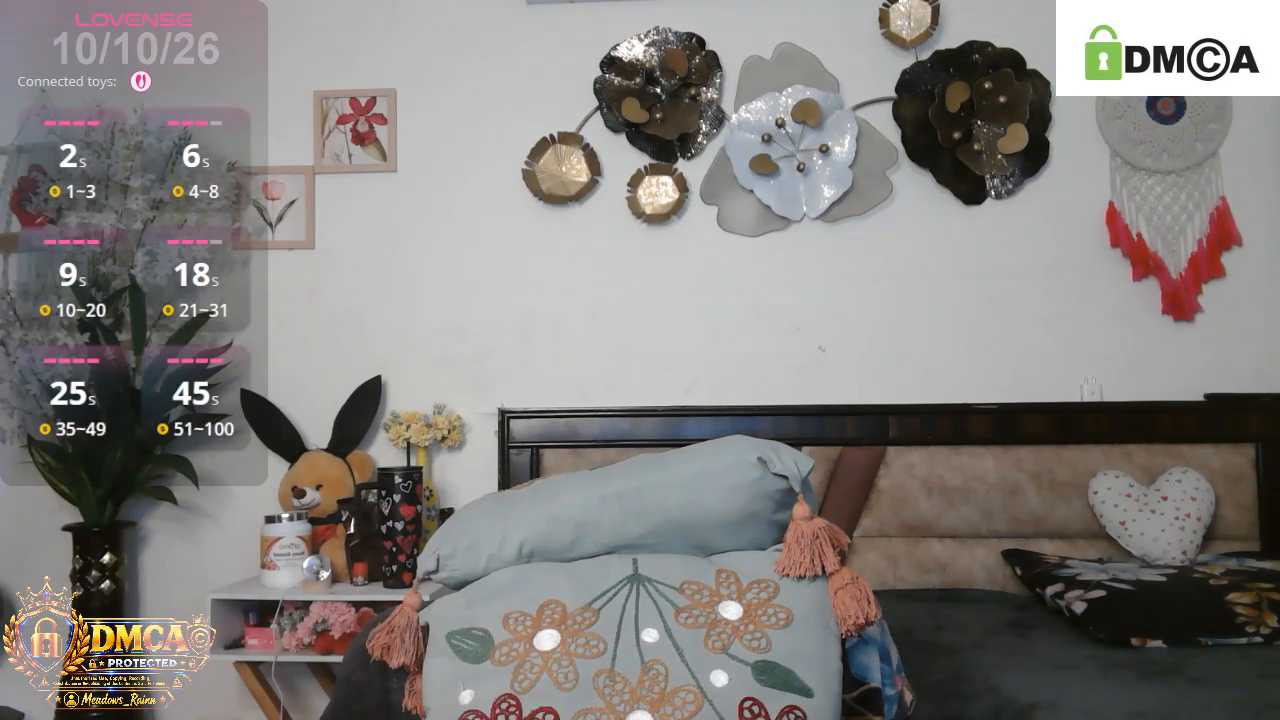 Meadows_Rainn cam recording