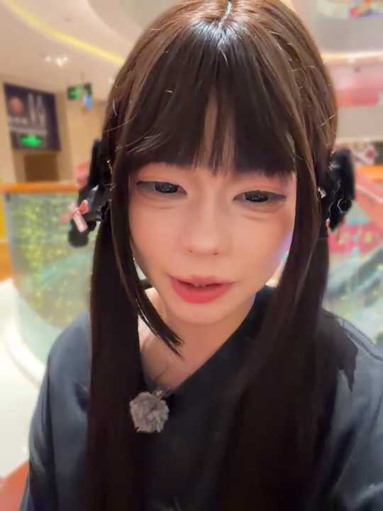 MeimoDog cam recording