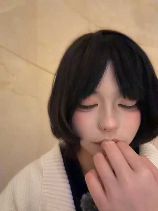 MeimoDog