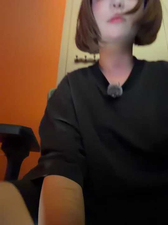 MeimoDog cam recording