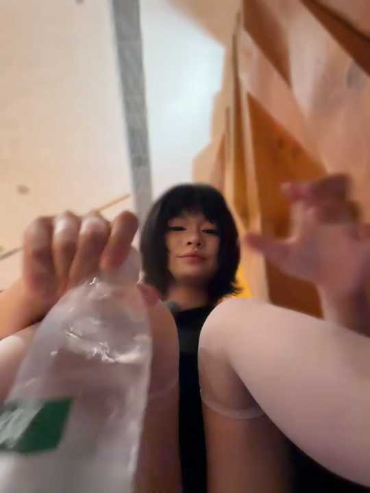 MeimoDog cam recording