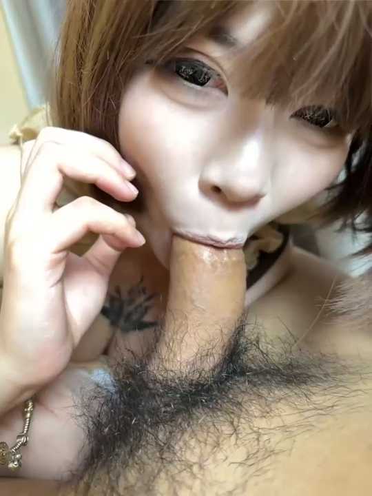 MeimoDog