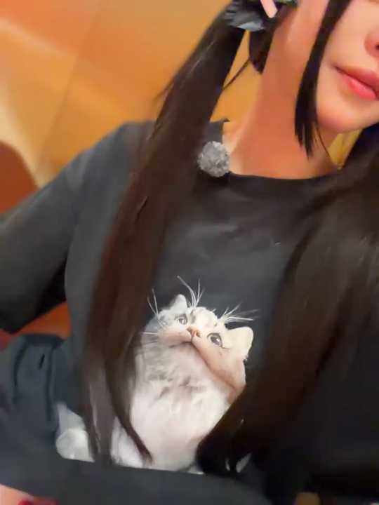 MeimoDog cam recording