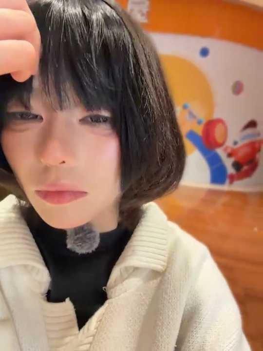 MeimoDog cam recording