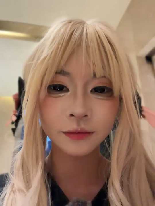 MeimoDog cam recording