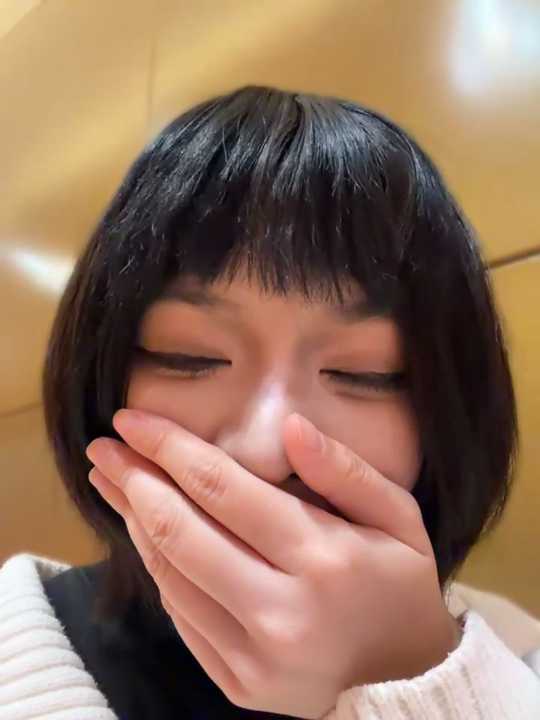 MeimoDog