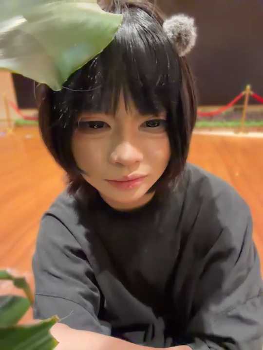 MeimoDog cam recording