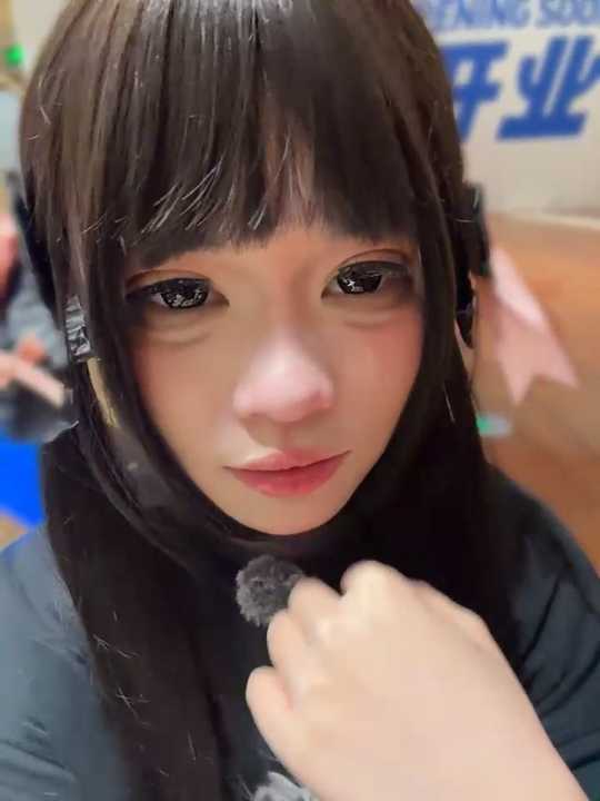 MeimoDog cam recording