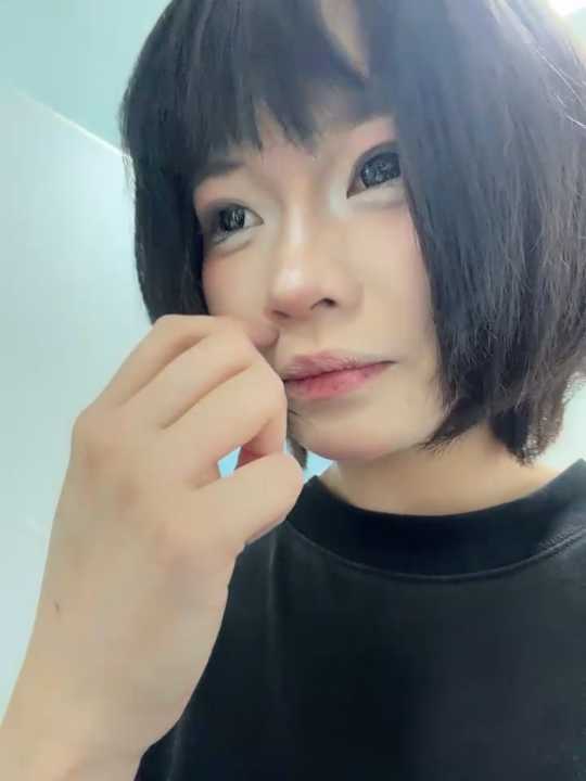 MeimoDog cam recording