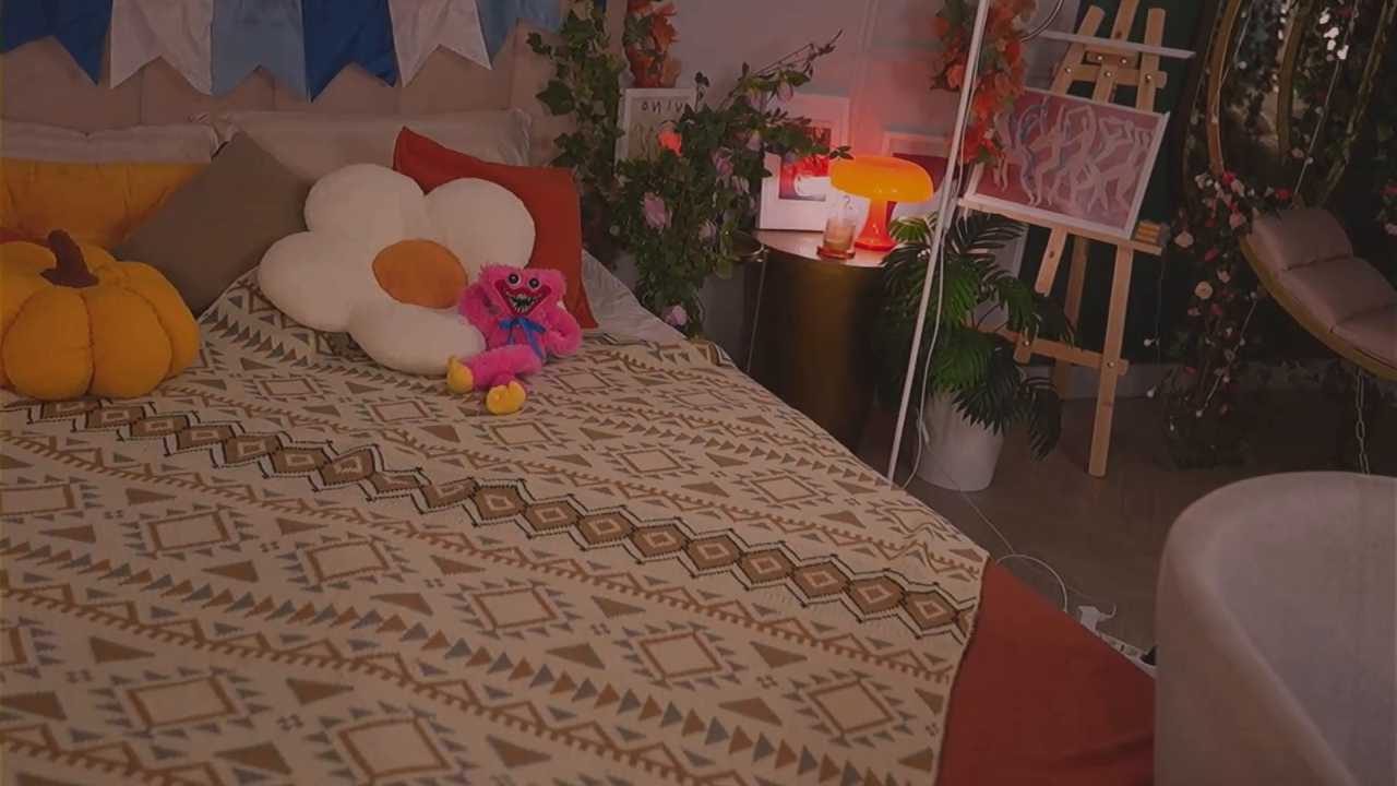 Meow_Nancy cam recording