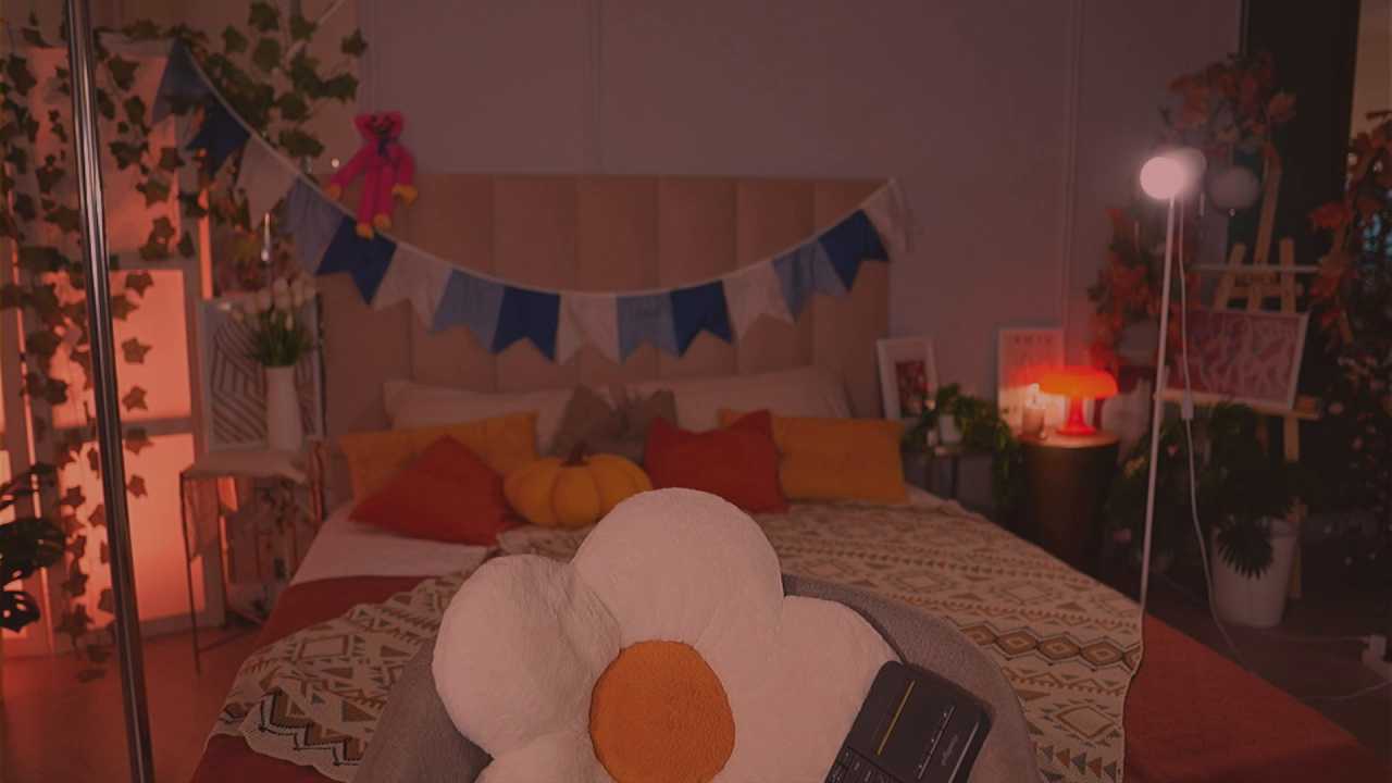 Meow_Nancy cam recording