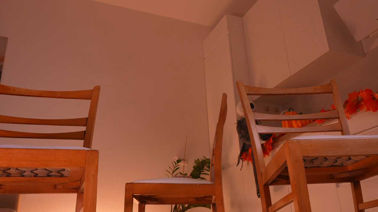 Miablueye cam recording