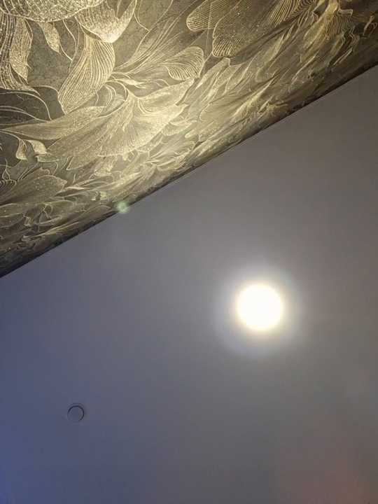 MilaMature cam recording