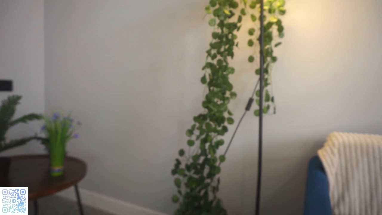 MiriamBinette cam recording