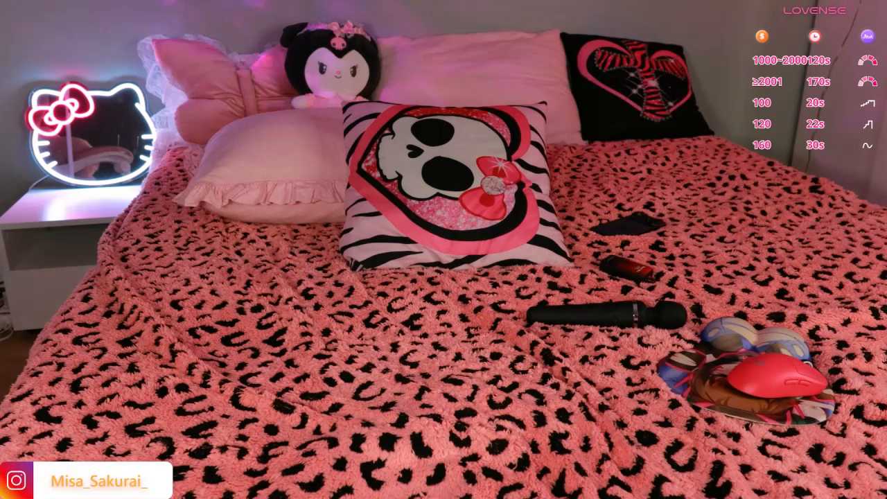 Misa_Sakurai cam recording