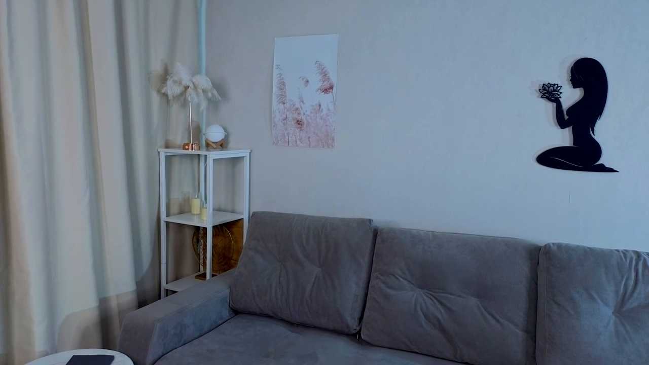 NaFravel cam recording