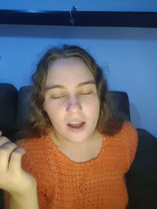 NensysFourets cam recording