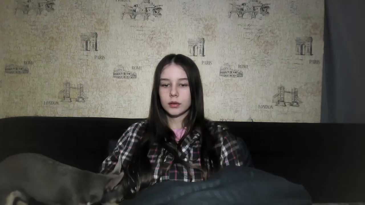 NiiSanSilvia cam recording