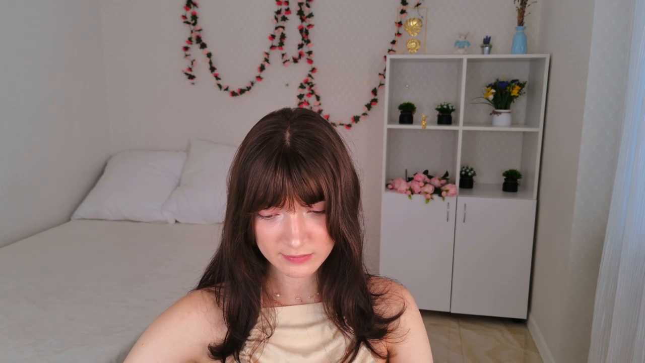 OwlEva cam recording