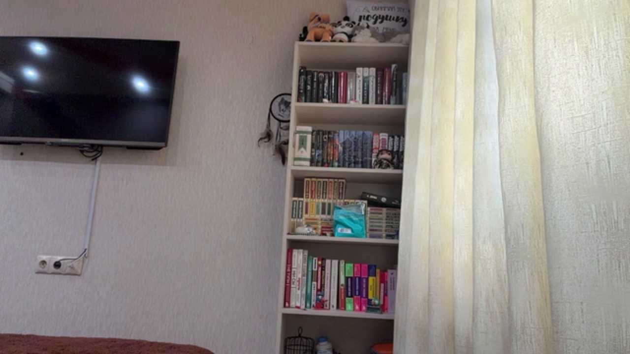 PaintedDisplay cam recording