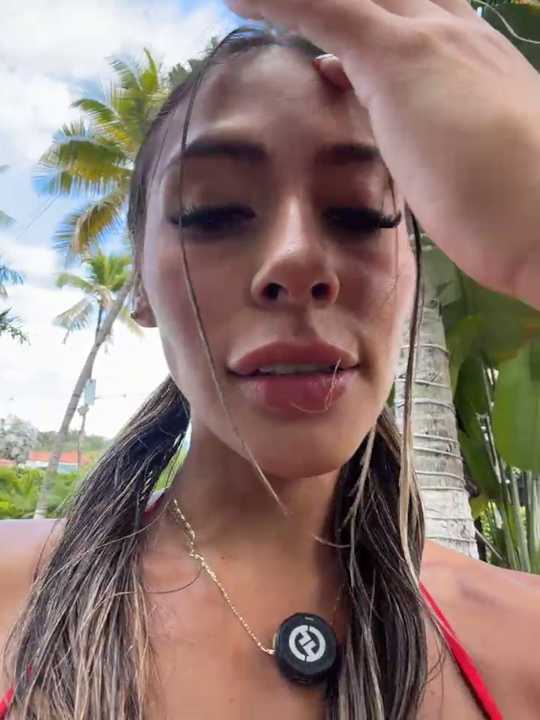 Palmer__