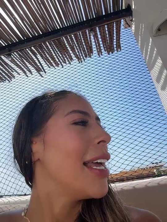 Palmer__
