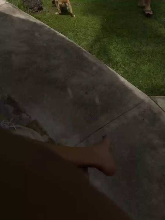 Palmer__