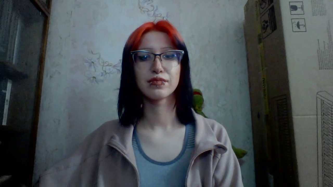 ParisGotowka cam recording