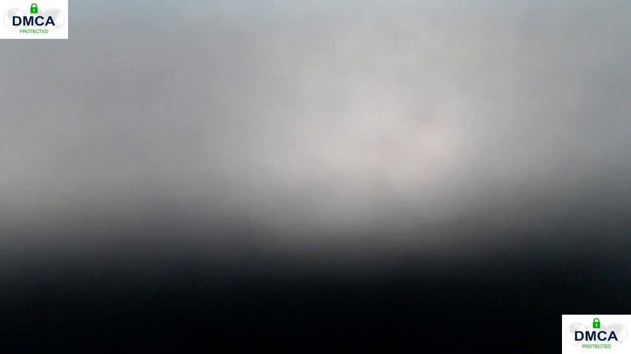 Pion_01