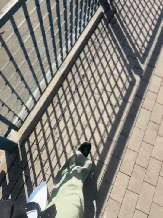 Pussyinpublic cam recording