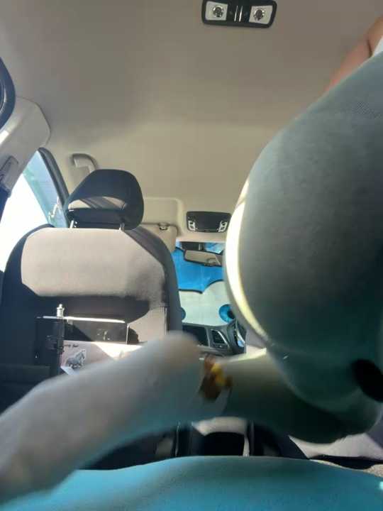 Puzdosia cam recording