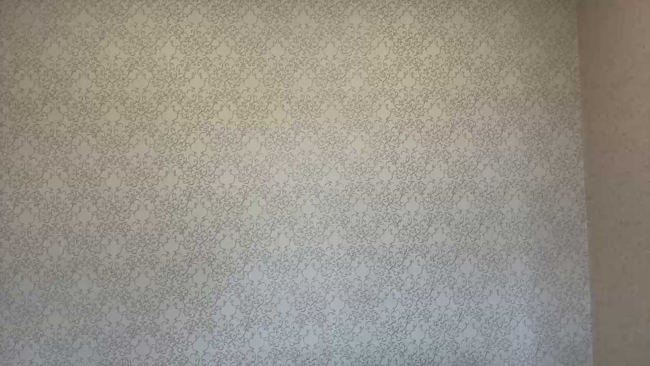 RavenShuker cam recording