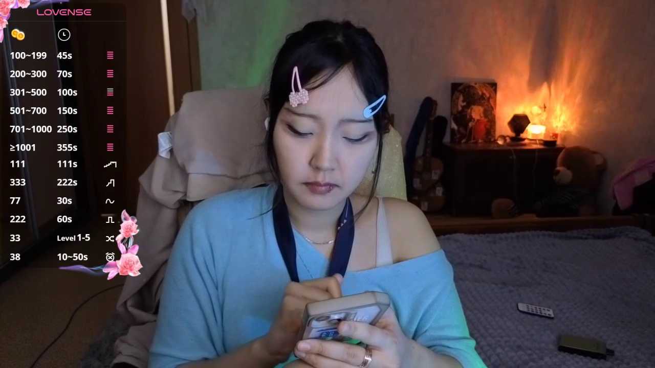 RoyceHaubold cam recording