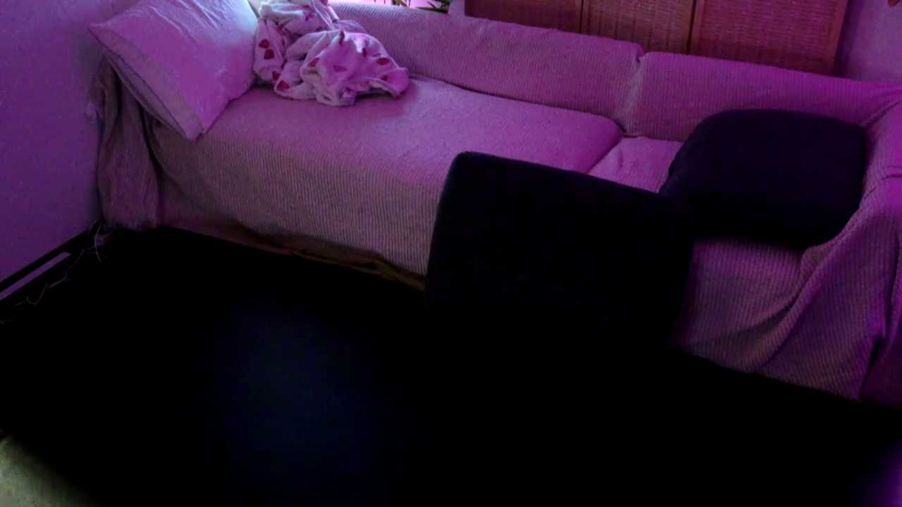 RuRu_jp cam recording