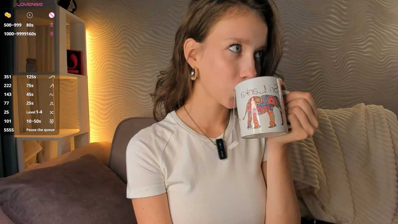 SageFrommer cam recording