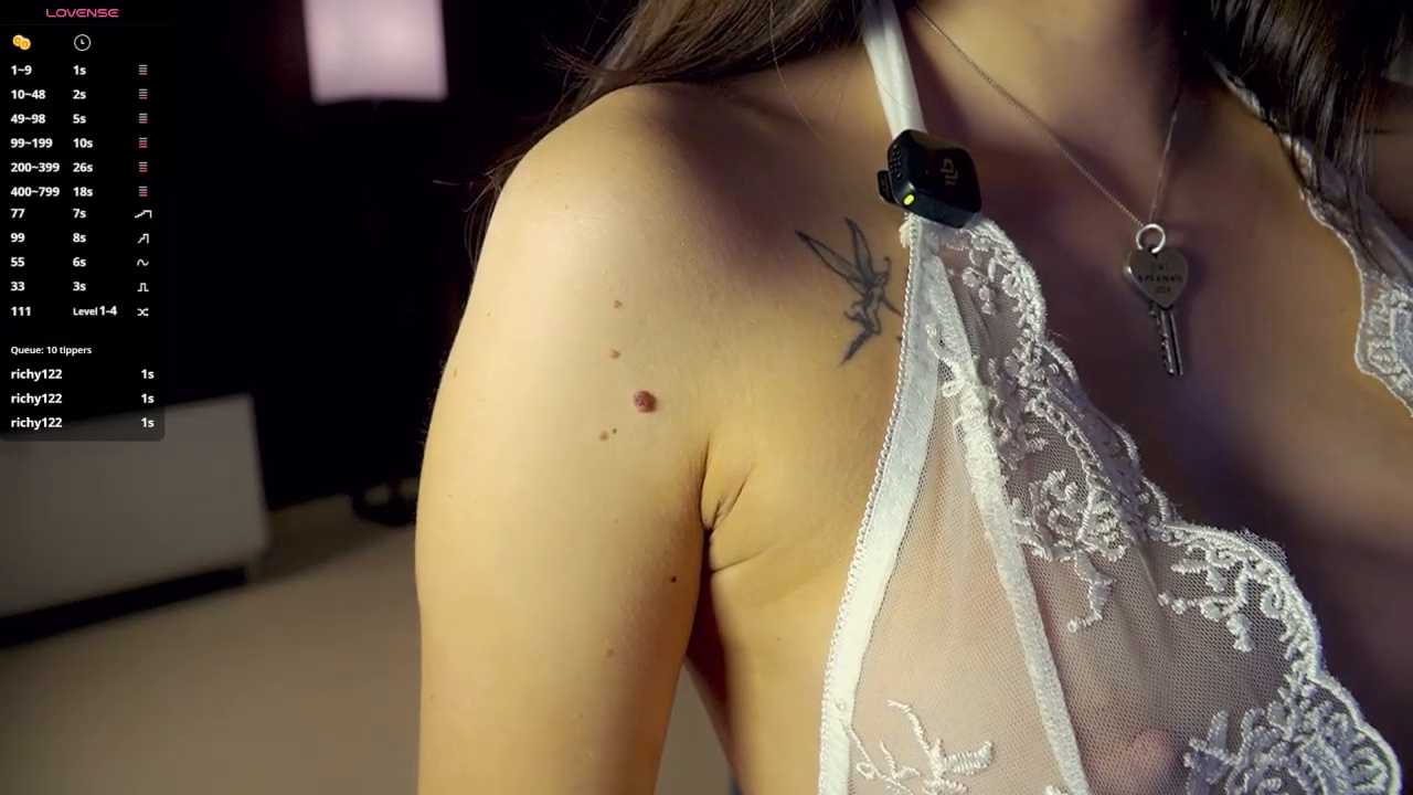 SanySenise cam recording