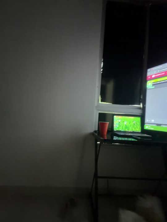 Sarasweet_sex cam recording