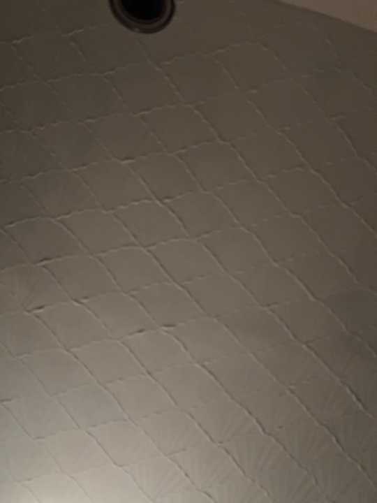 SexySophiex cam recording