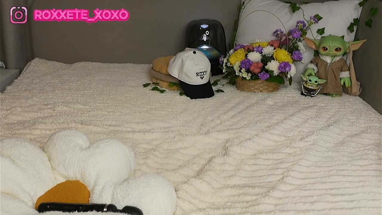 ShineRox cam recording