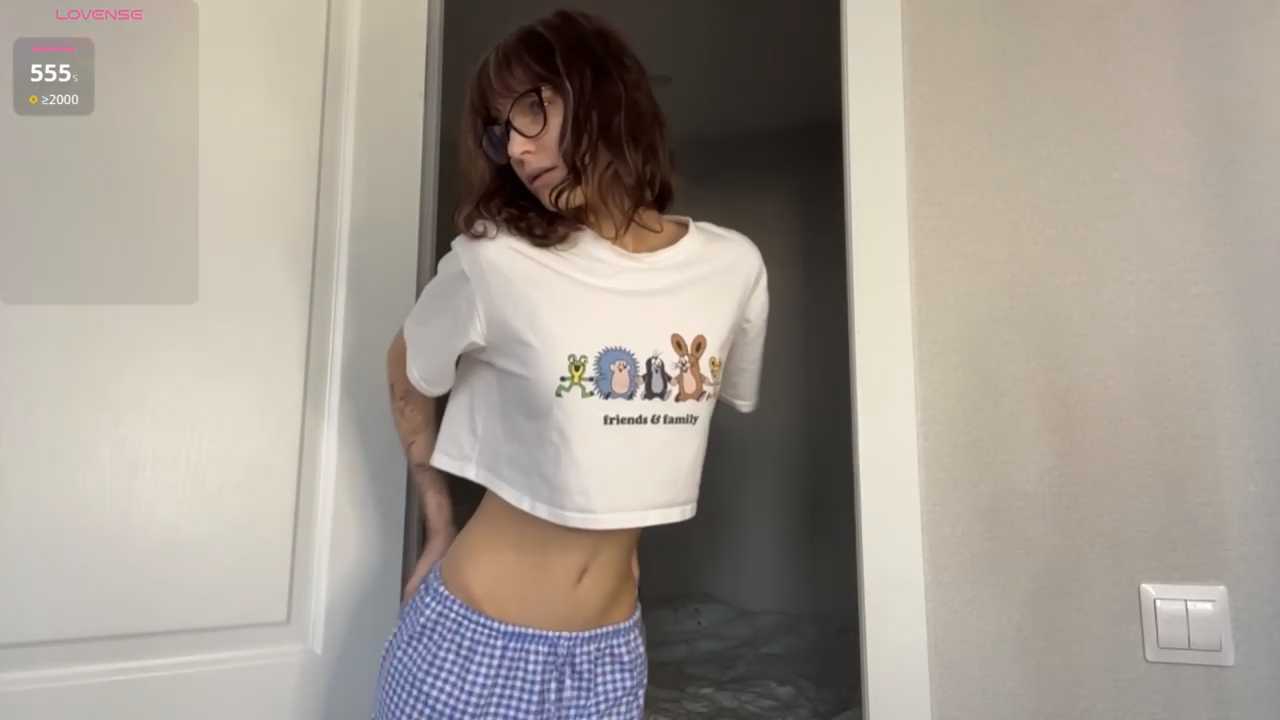 SibleyBurner cam recording