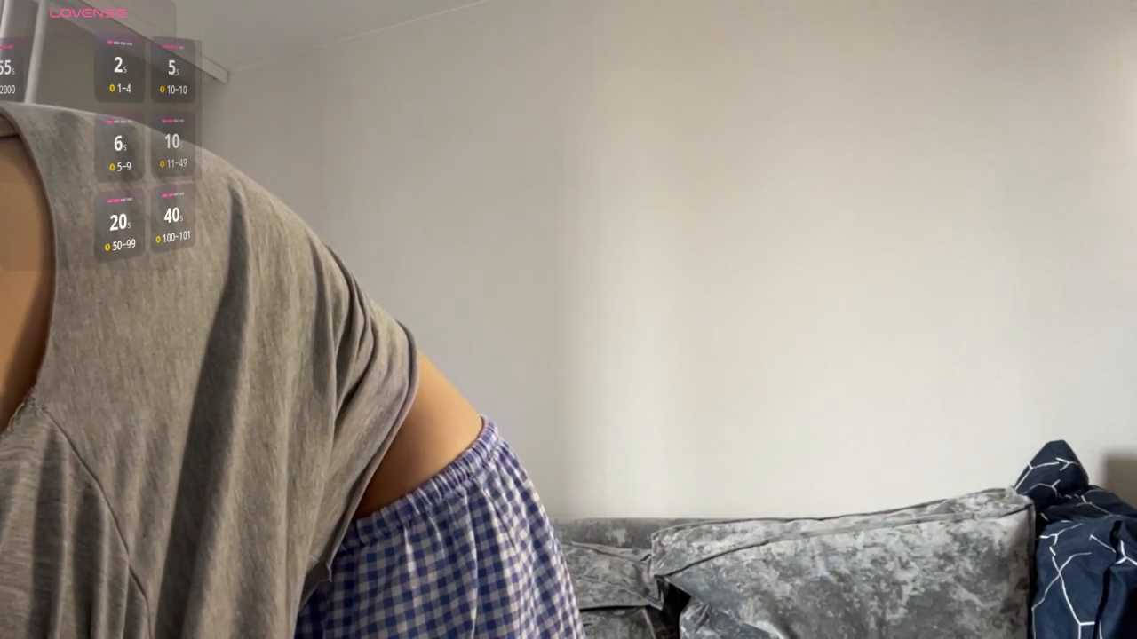 SibleyBurner cam recording