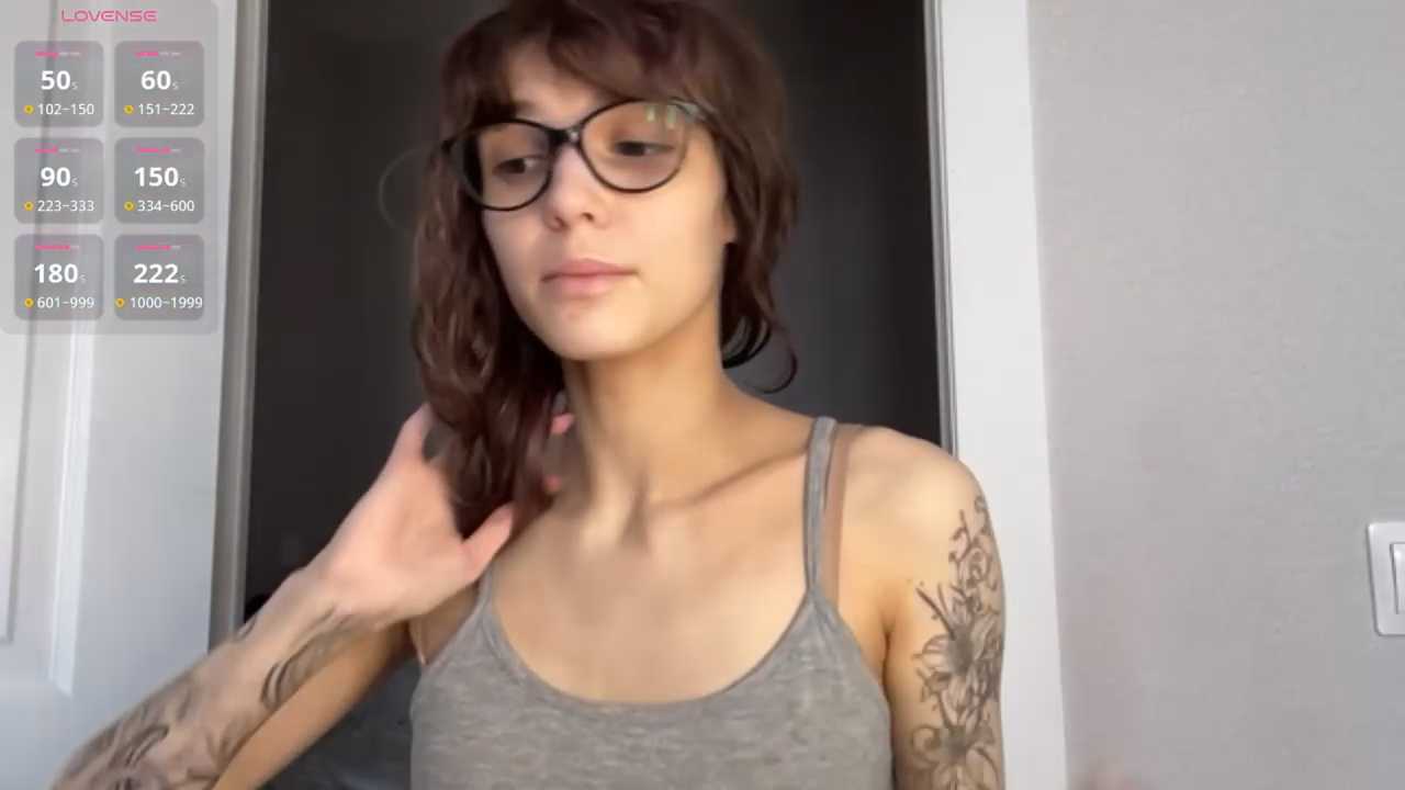 SibleyBurner cam recording