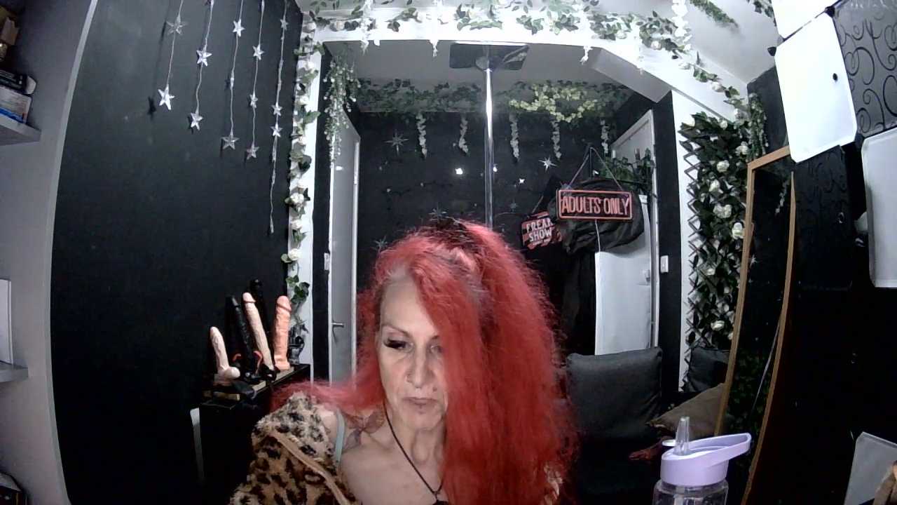 SkySparks cam recording