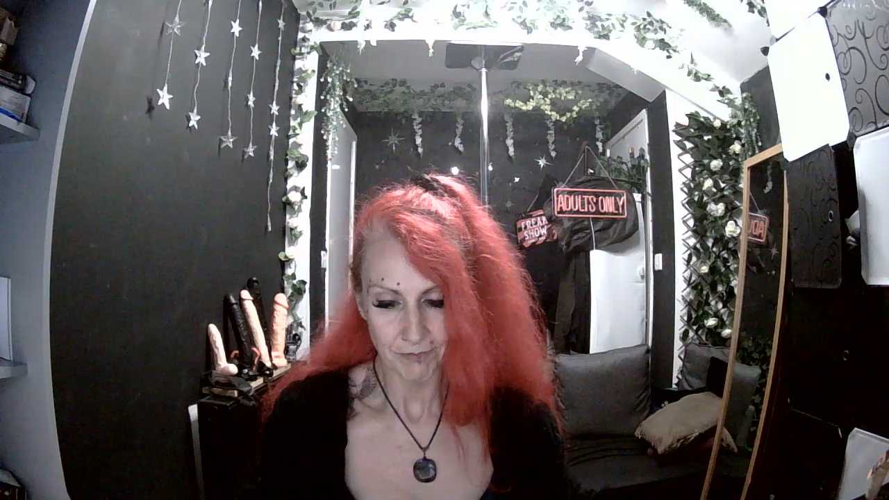 SkySparks cam recording