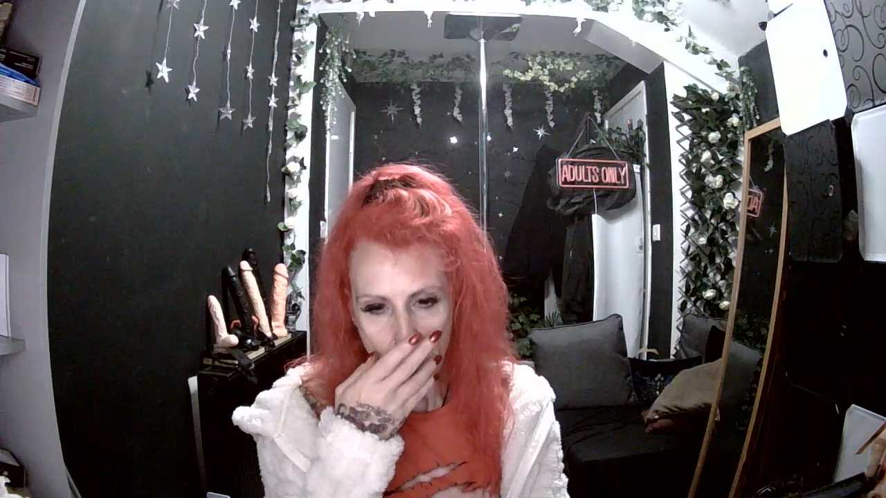 SkySparks cam recording