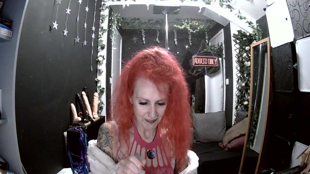 SkySparks cam recording